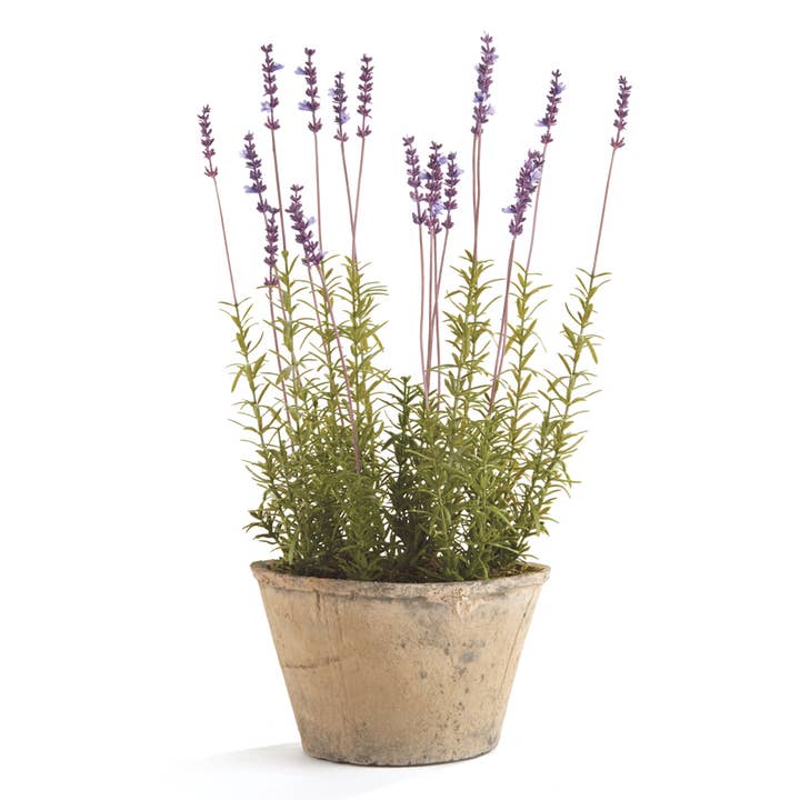 Napa Home & Garden - Wholesale Artificial Flowers - French Lavender Potted 21"0