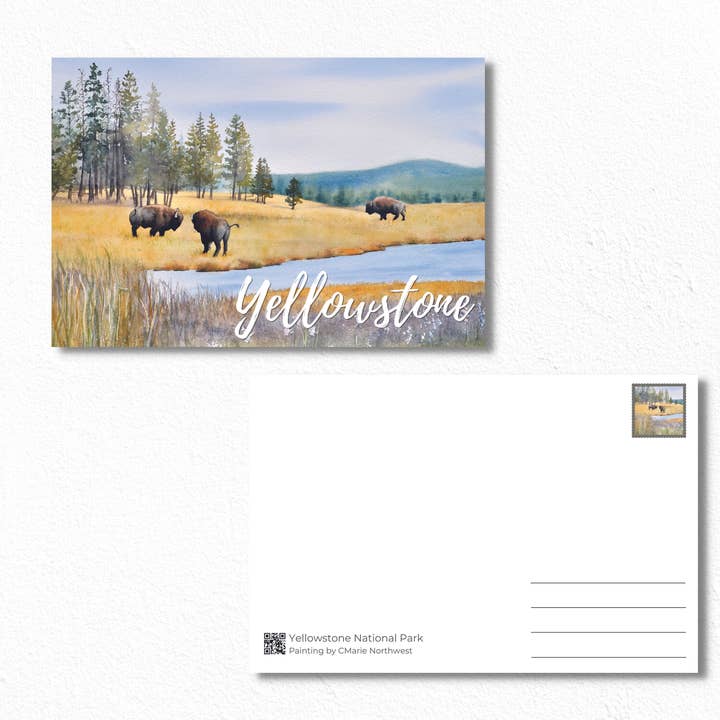 Carte postale Buffalo des Plaines, carte Aquarelle Bison sur la gamme pour la vente par CMarie Northwest