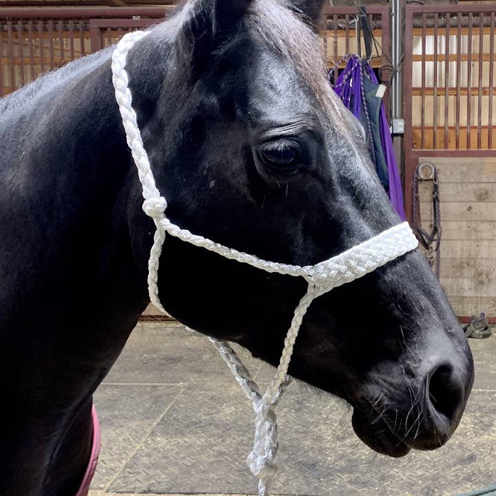 Smart Horse Gear - Wholesale Horseback riding gear - Mule Tape Halter with 10' Detachable Lead - Cob / Pony4