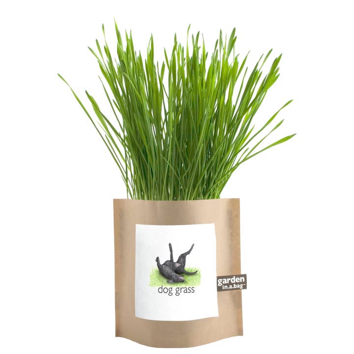 Potting Shed Creations, Ltd. - Wholesale Pet Treats - Dog - Garden in a Bag | Dog Grass | Spring Pet Treat Gift2