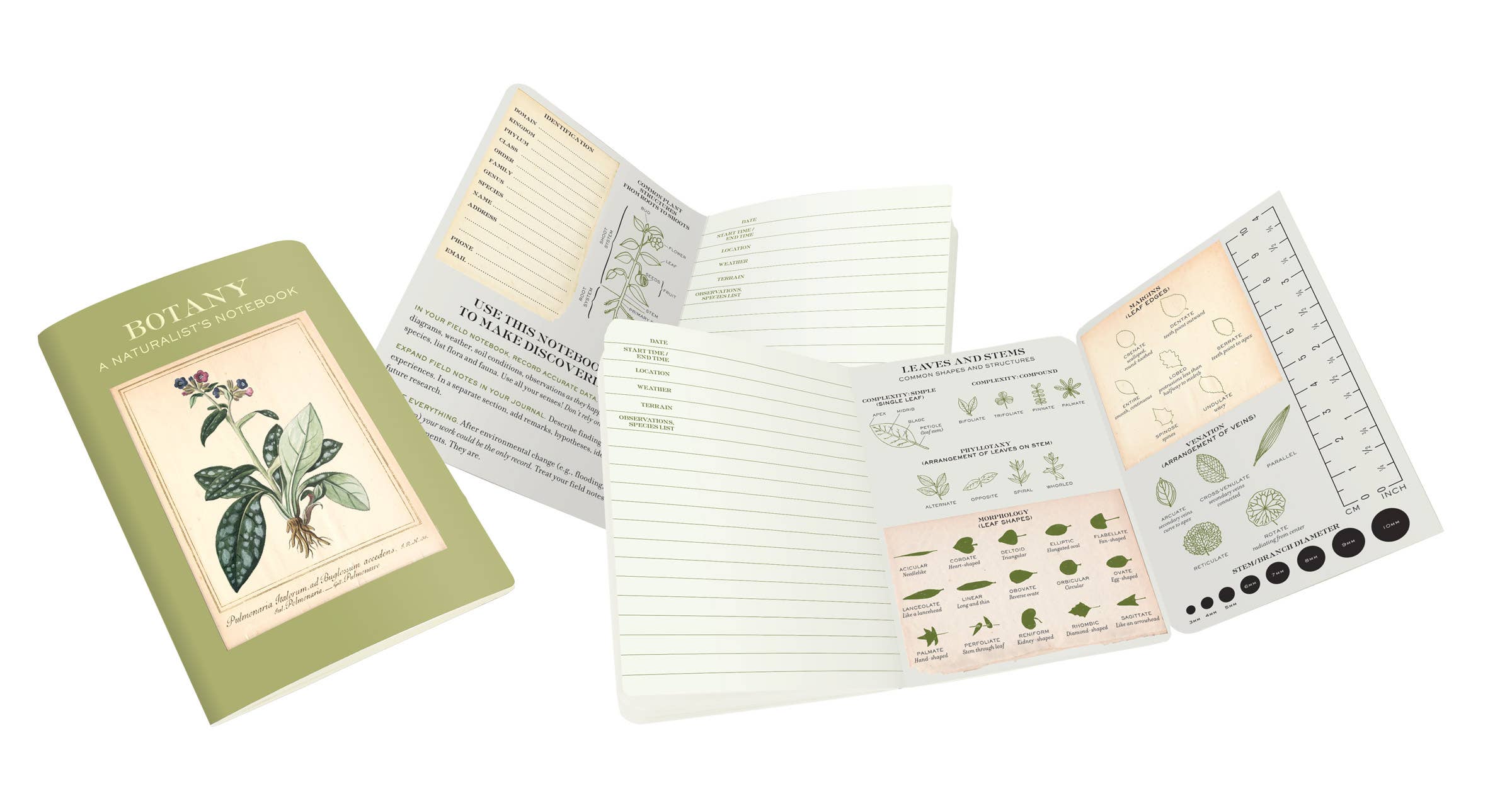 Unemployed Philosophers Guild - Wholesale Notebook - Botany Naturalist's Notebook3