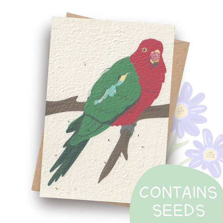Plantable King Parrot Card for wholesale by Tilly Scribbles