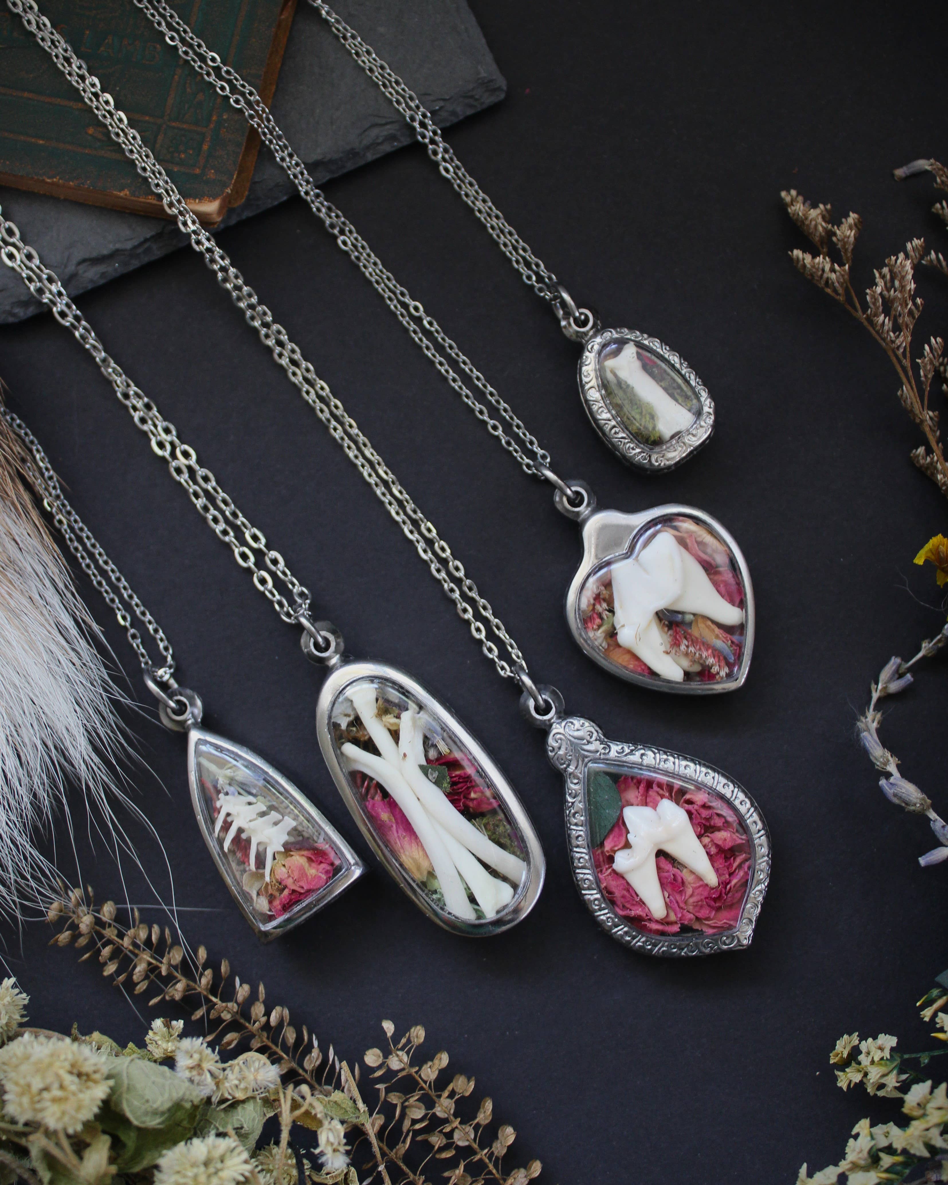 Kitty Bomb Curios - Vendita all'ingrosso Collana con ciondolo/pendaglio - Collane d'ossa strane reliquie finestra dente gioielli collana