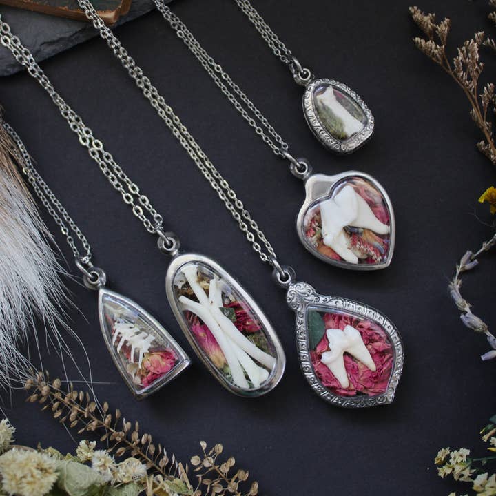 Kitty Bomb Curios - Wholesale Pendant/Charm Necklace - Bone Lockets oddity reliquary tooth window jewelry necklace