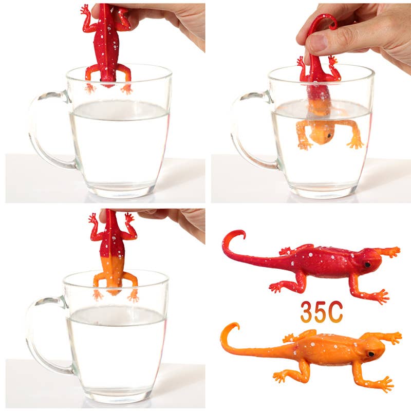 Puckator Ltd – wholesale Classic toy – Kids – Colour Changing Chameleon Toy3