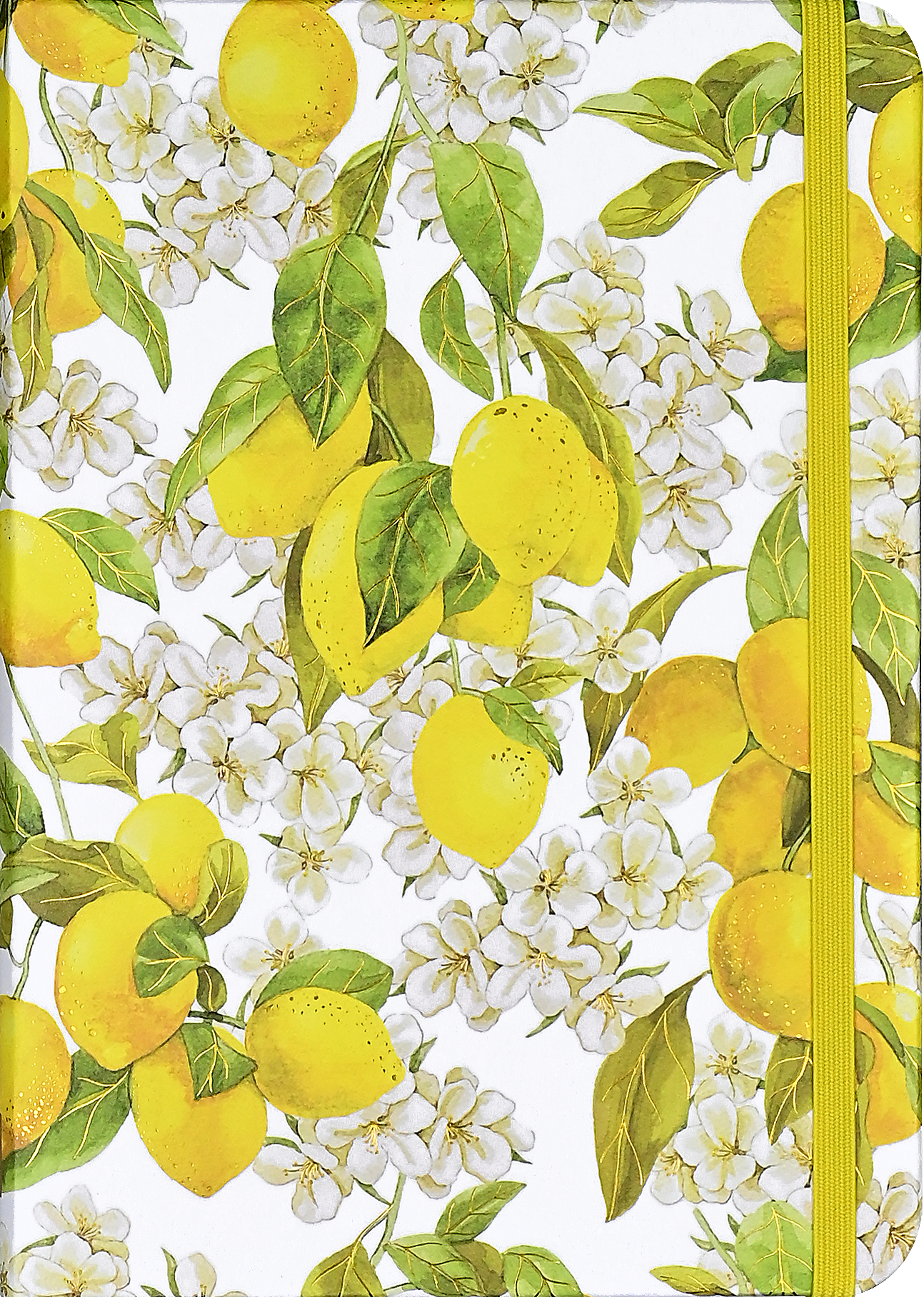 Peter Pauper Press, inc. – wholesale Journal/diary – Amalfi Lemons Journal0