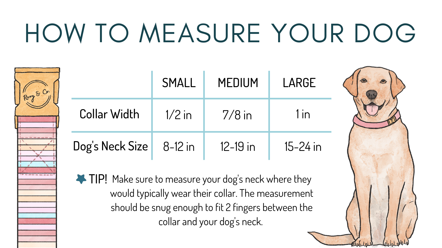 Roxy & Co. Canine Accessories - Wholesale Pet Collar - Dog - NORMAN PLAID DOG COLLAR1