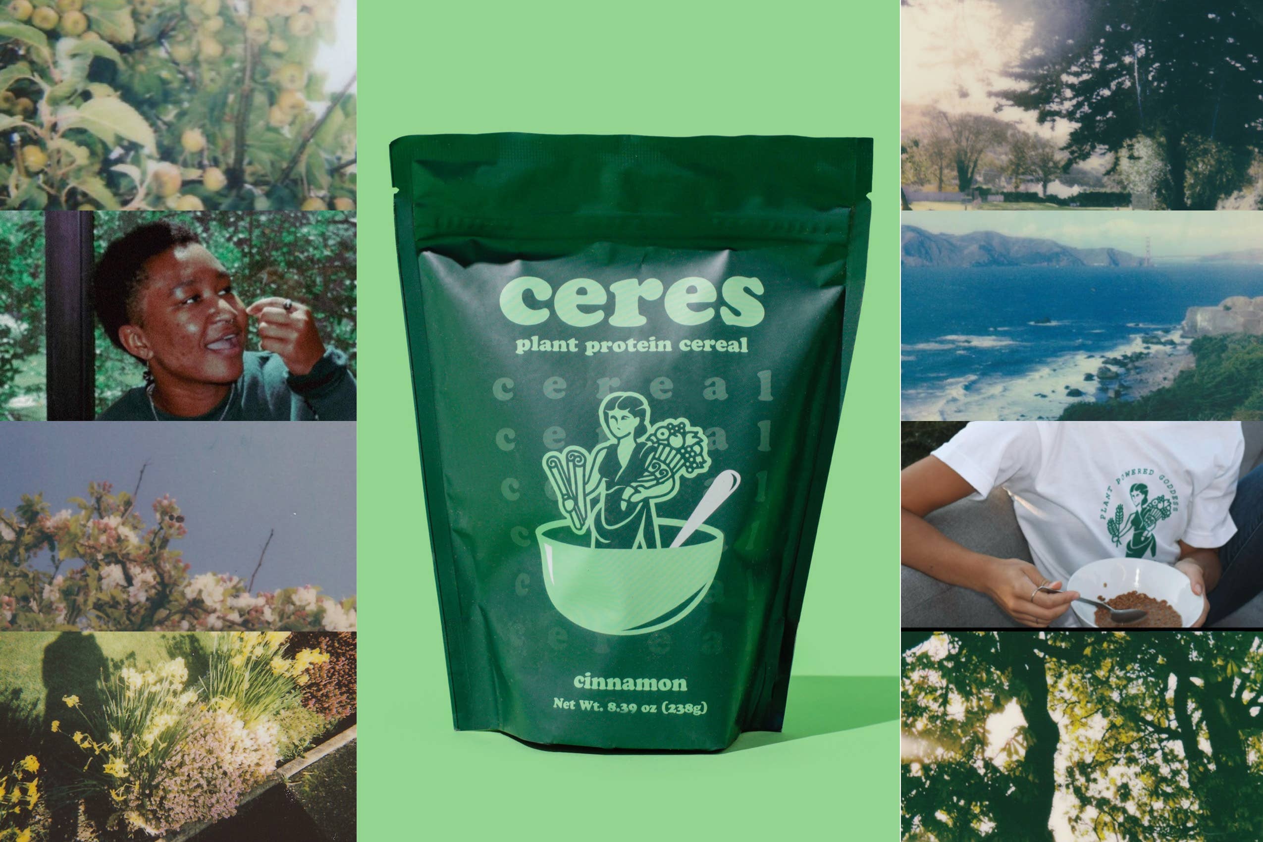 Ceres Plant Protein Cereal - Vente Céréales pour le petit-déjeuner - Céréales Protéinées Végétales Ceres