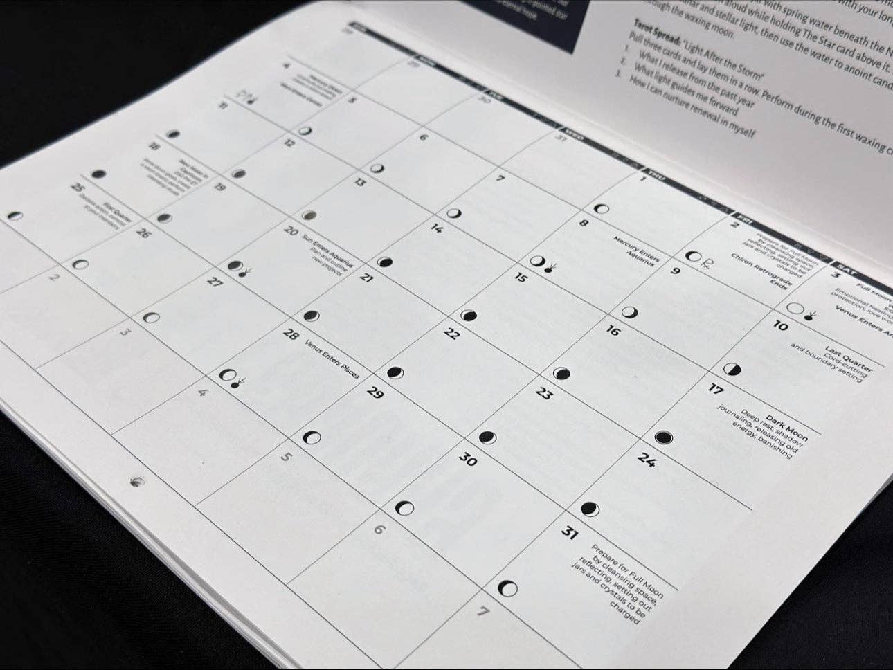 Raven and Rogue - Wholesale Calendar - Tarotorial 2026 Wall Calendar: Daily Divination and Prompts for a Magical Year1