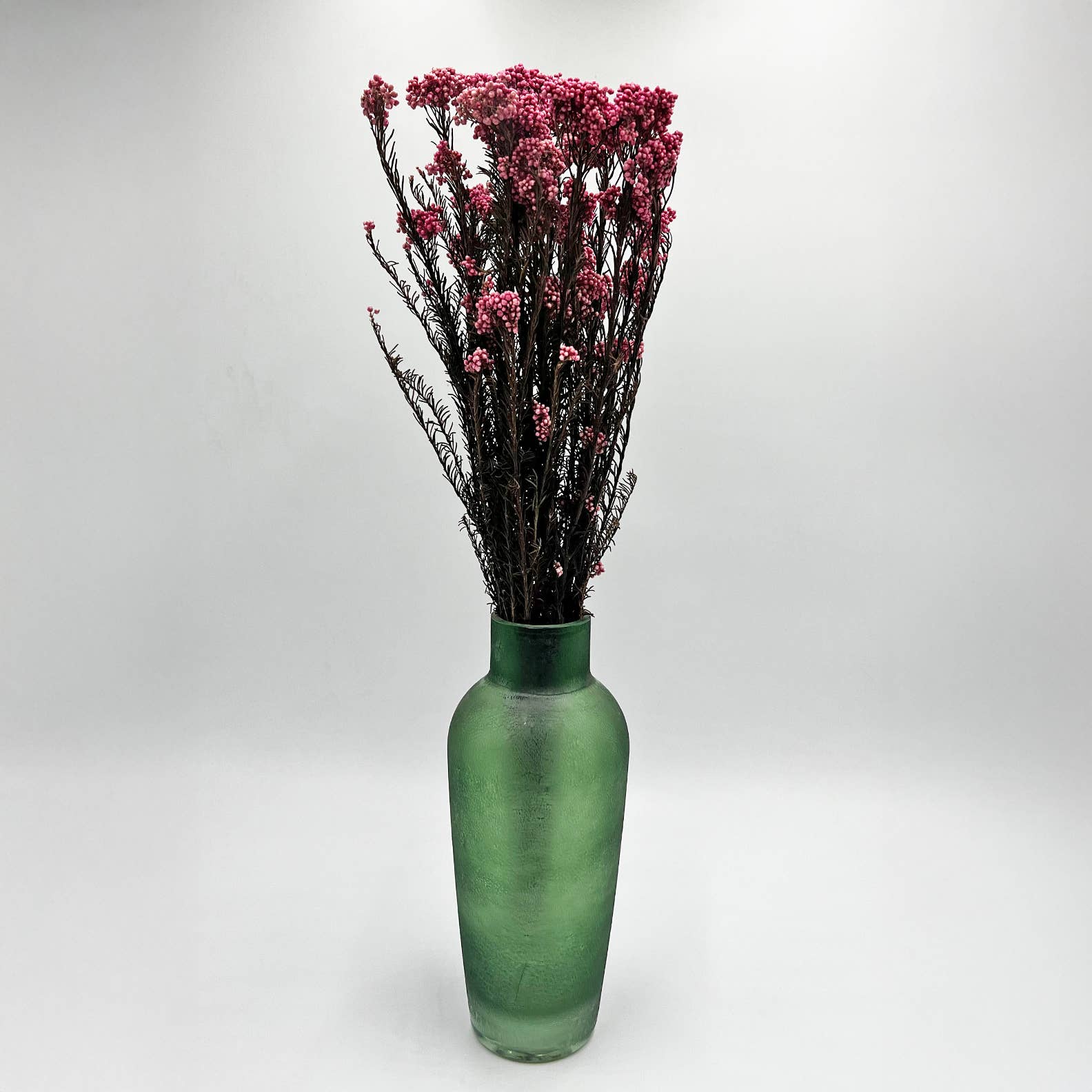 2626 Designs – Engroshandel Tørrede/pressede blomster – Konserveret hirse og risblomst - Immortelle og Ozothamnus blomster39