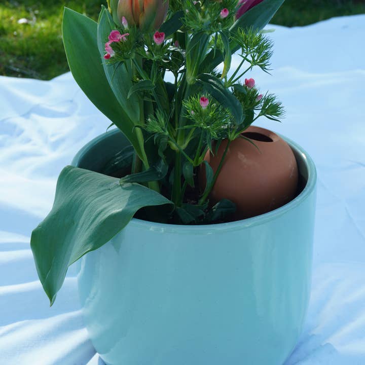 Poterie lutton - Wholesale Plant Pot - Ollas to plant medium16