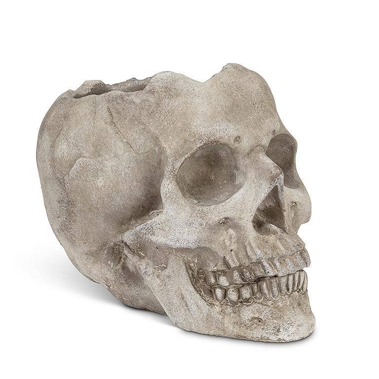 Abbott – Engroshandel Plantekrukke – Lg Skull Planter-5"H-9701