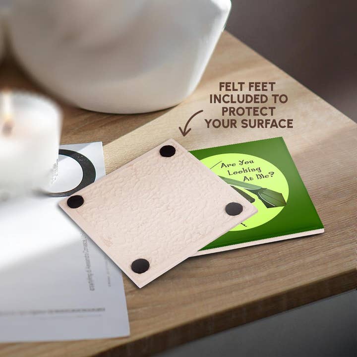 3dRose - Wholesale Coasters - 3dRose, Praying Mantis, Coaster3