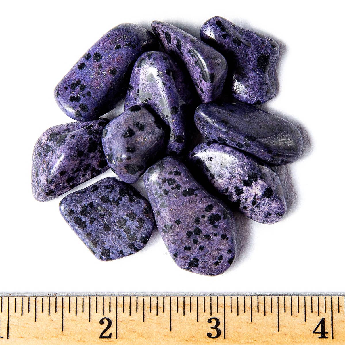 Tree of Life Gems - Vendita all'ingrosso Pietra/cristallo spirituale - Diaspro dalmata viola tinto a burattolino piccolo3