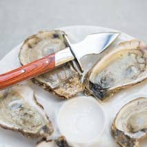 Charleston Shucker Company – Faca de cozinha/utilitário por atacado – PROMOÇÃO: O Carolina Shucker6