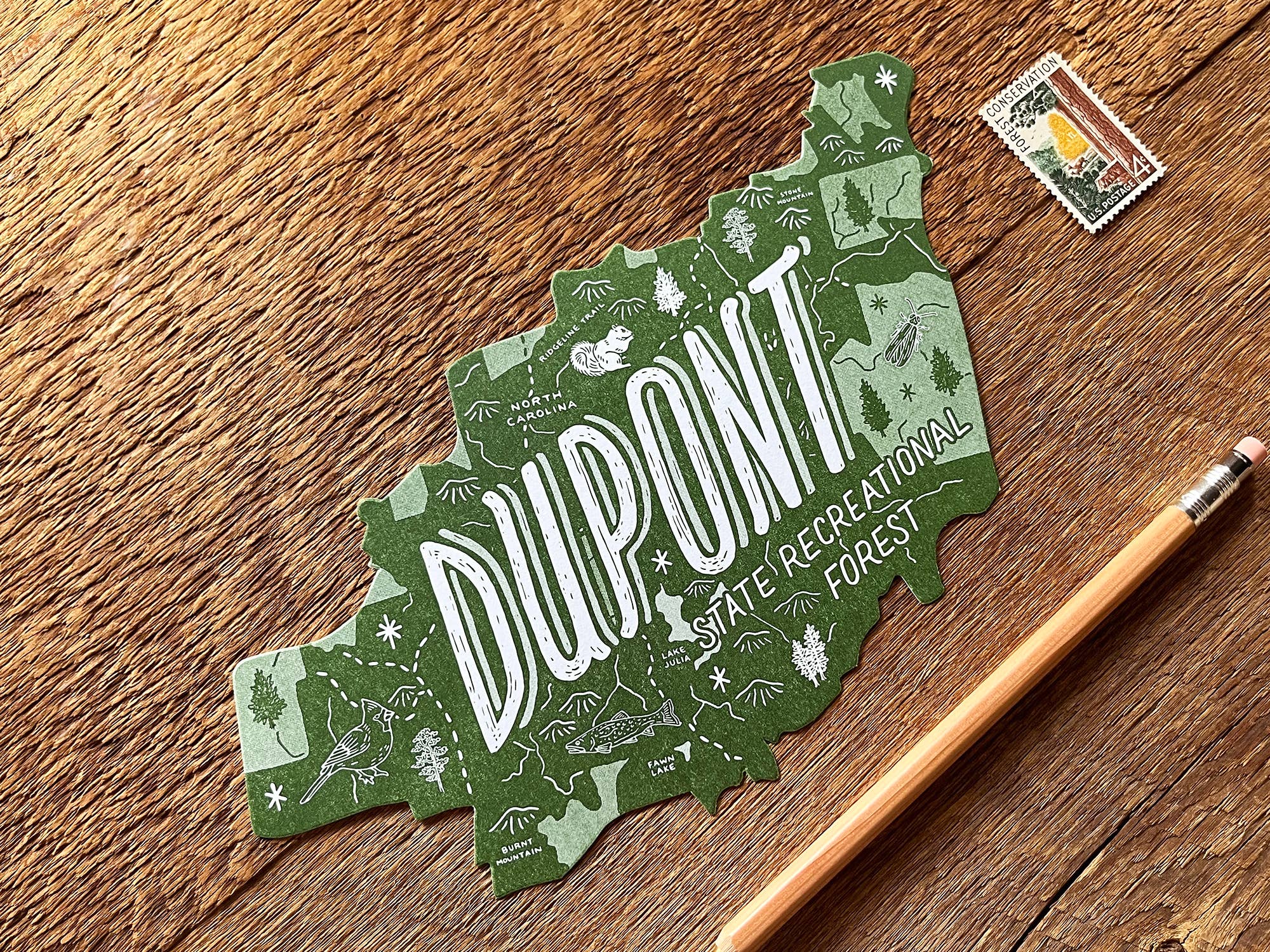 Noteworthy Paper & Press - Wholesale Postcard - Dupont State Forest Postcard1