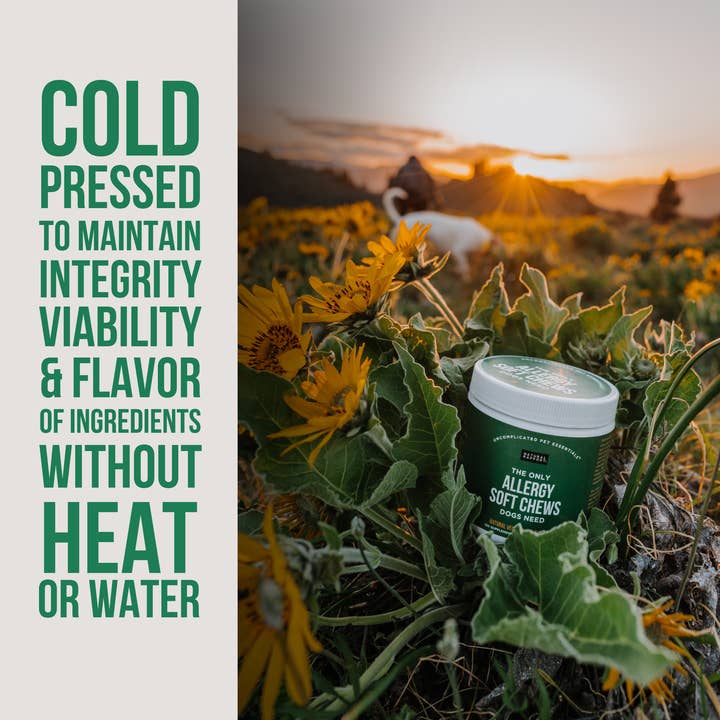 Natural Rapport - Vendita all'ingrosso Integratore per animali domestici - Cani - L'unica allergia morbida mastica di cui ha bisogno i cani2