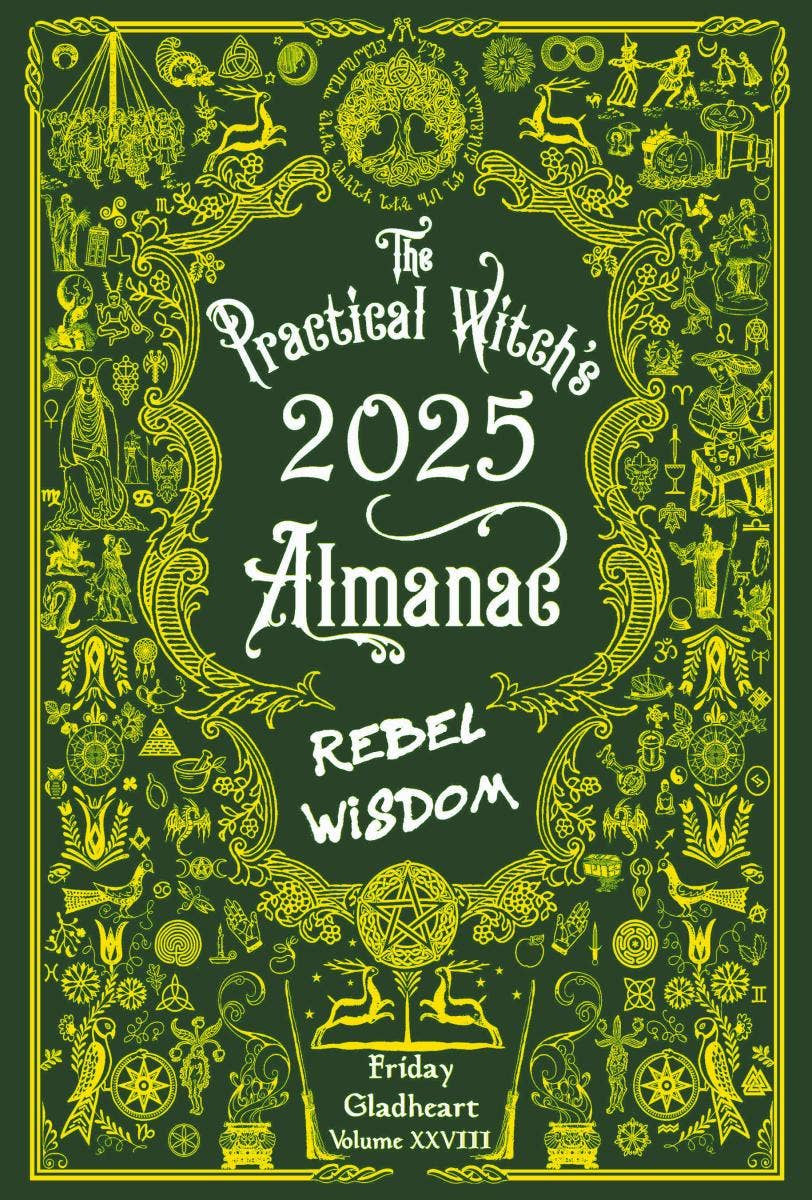 Microcosm Publishing & Distribution - Wholesale Body, Mind & Spirit Book - Practical Witch's Almanac 2025: Rebel Wisdom1