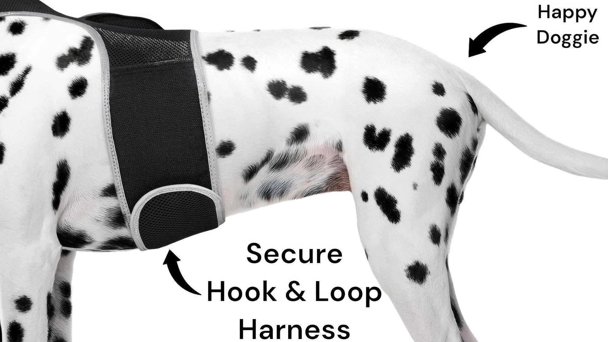 Naomi's Happy Place Shop - Venta al por mayor Collar - Gatos y perros - Mantén a tu mascota segura con el dispositivo de rastreo GPS para collar de perro + aplicación para teléfono Tamaño:M9