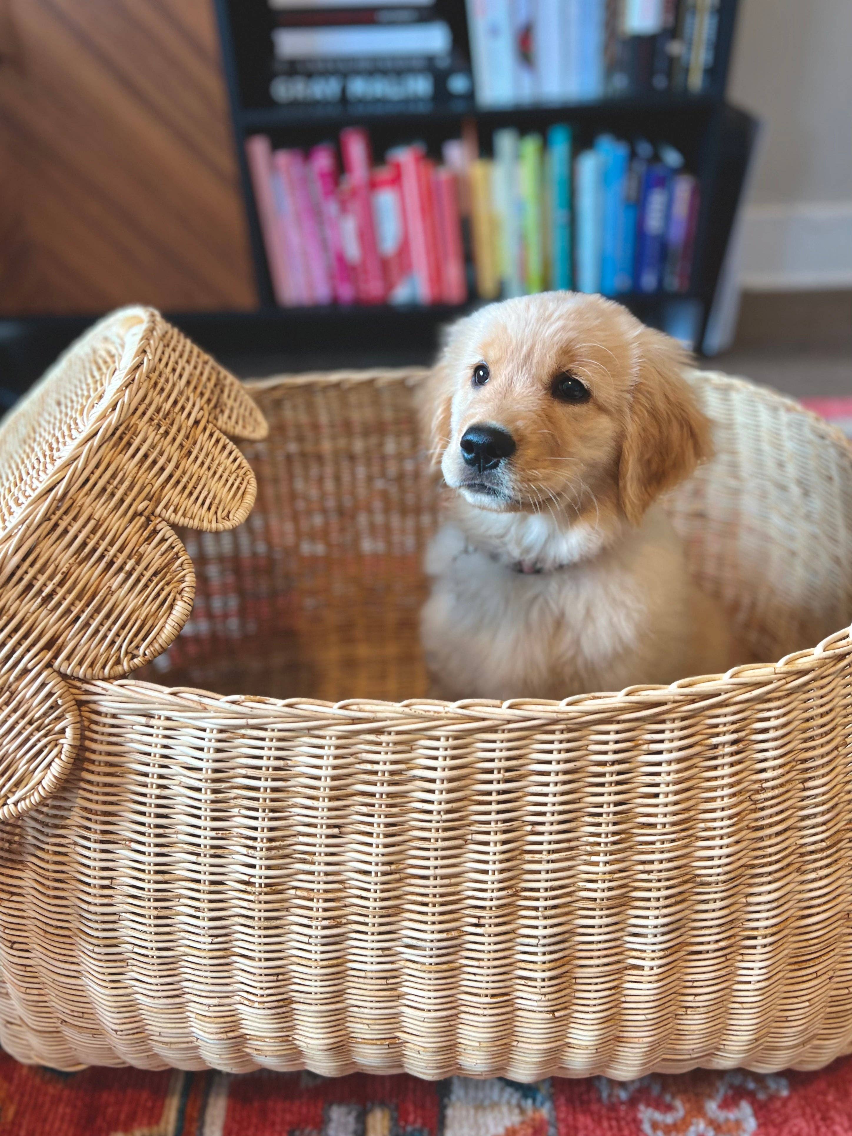 Auden & Avery - Wholesale Basket - Scalloped Rattan Basket - Medium 6