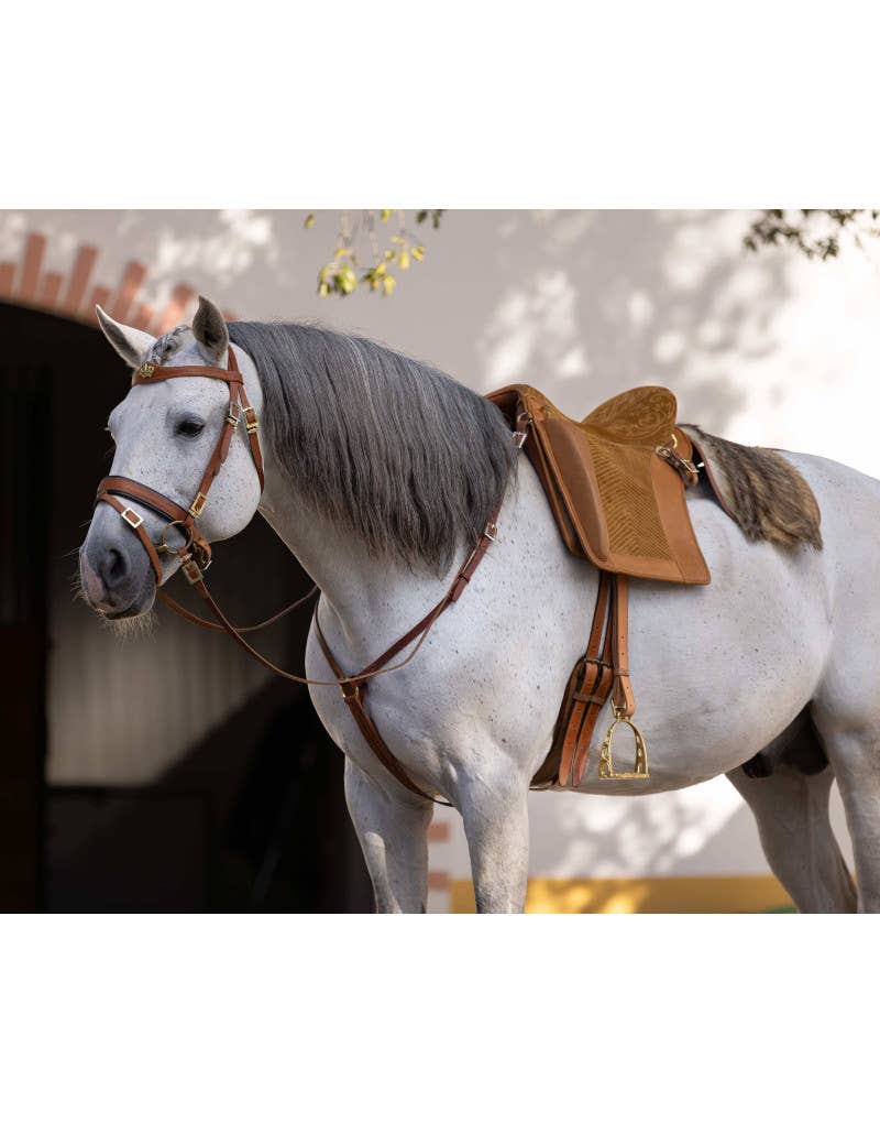 VMCS Selaria Europe - Wholesale Horseback Riding Gear - Selim Relvas Cls5