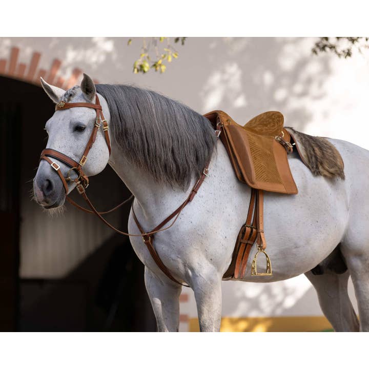 VMCS Selaria Europe – Equipamento de equitação por atacado – Selim Relvas Cls5