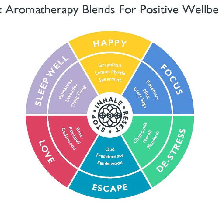 Scentered - Wholesale Aromatherapy Lotion/Oil - Aromatherapy Balm Discovery Set6