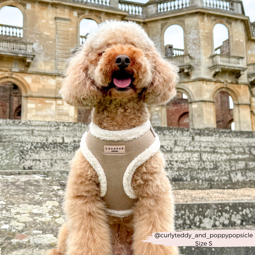 Cocopup London - Wholesale Pet Harness - Dog - Nude Aviator Adjustable Neck Harness12