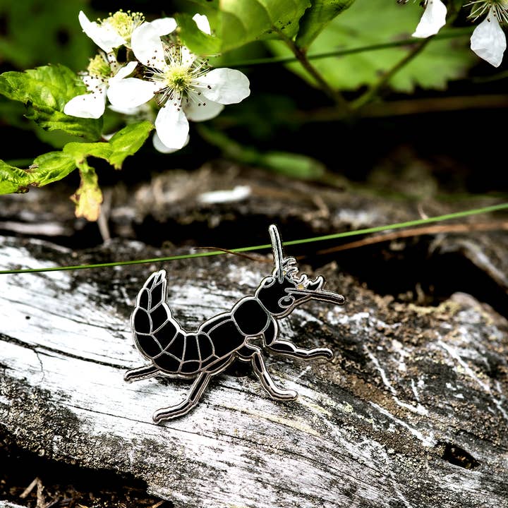 Devil's Coach-Horse Beetle Enamel Pin for wholesale by The Roving House