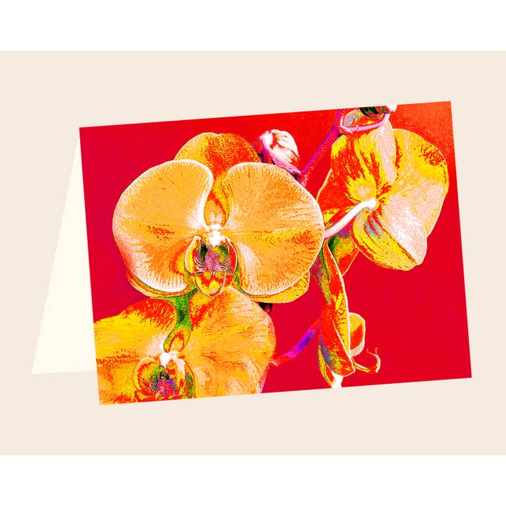 ENCL orchidea n.17 per la vendita all'ingrosso da parte di Line Five Studio