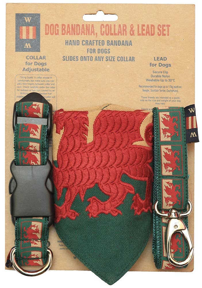 Woven Magic - Vente Collier – chien - Collier, bandana et laisse WA101D-SM0