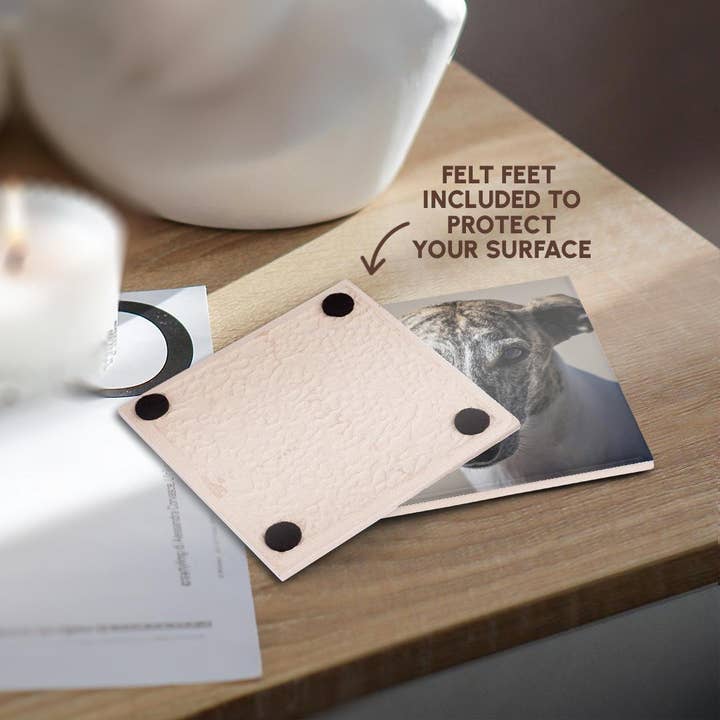 3dRose - Wholesale Coasters - 3dRose, Portrait of a Whippet, Coaster3