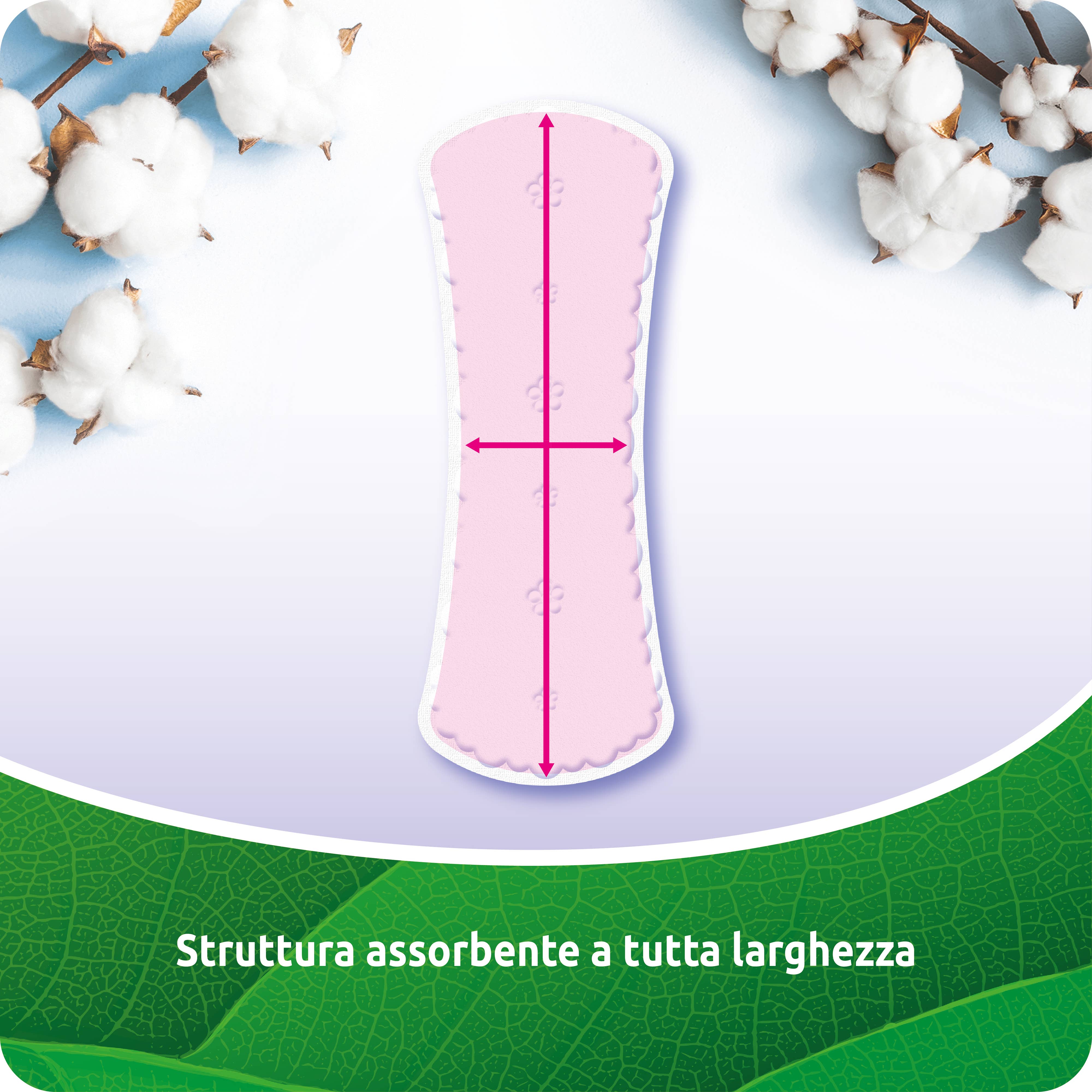 Babylino - Wholesale Menstrual Pad/Liner - Everyday All Cotton Pantyliner Normal in Cotton, 20 Units1