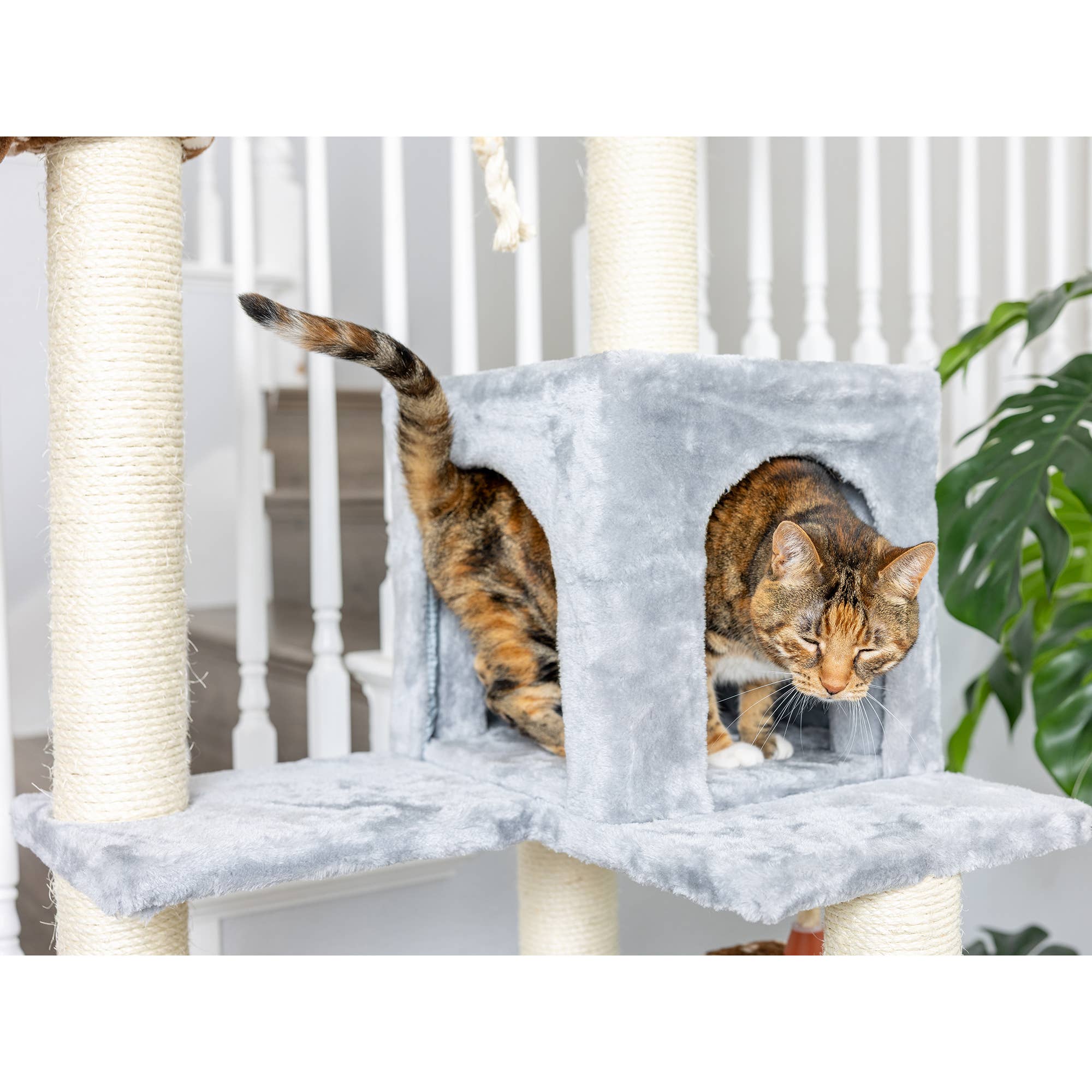 Armarkat - Wholesale Pet Scratcher - Cat - Real Wood Cat Climber Play House With Playhouse, Basket12