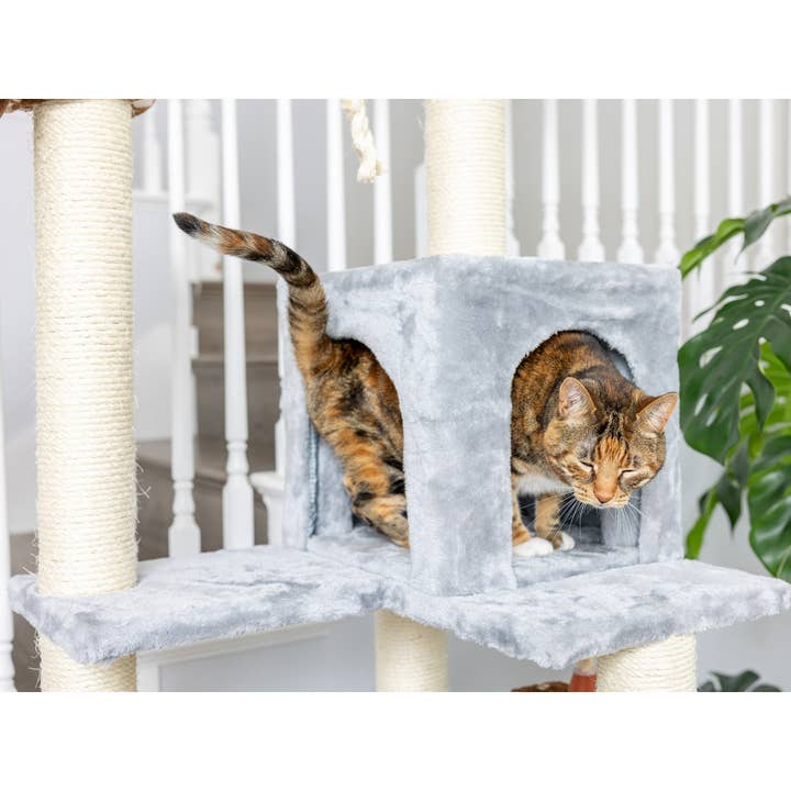 Armarkat - Vente Griffoir – chat - Maison de jeu grimpante en bois véritable pour chat avec cabane, panier12