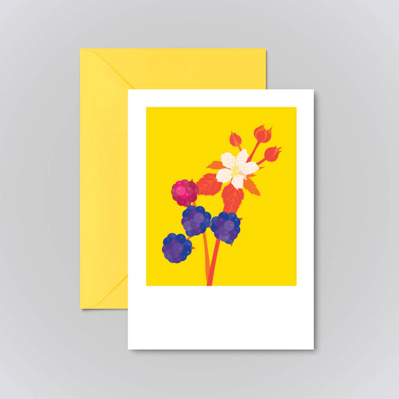 Pawpear - Wholesale Everyday Greeting Card - Blackberries Greeting Card