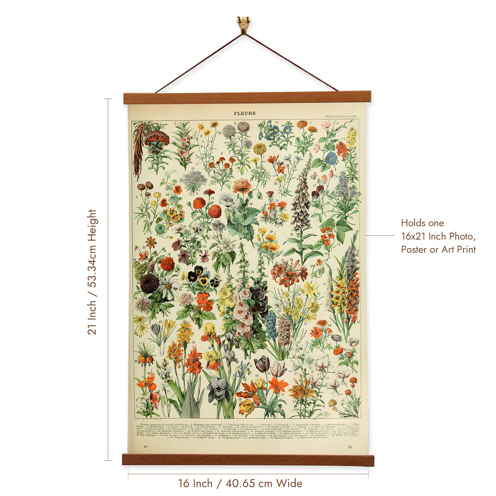 Vintage Banners - Wholesale Art Print - Fleurs by Adolphe Millot botanical prints Canvas Wall Print with Magnetic Hanger3