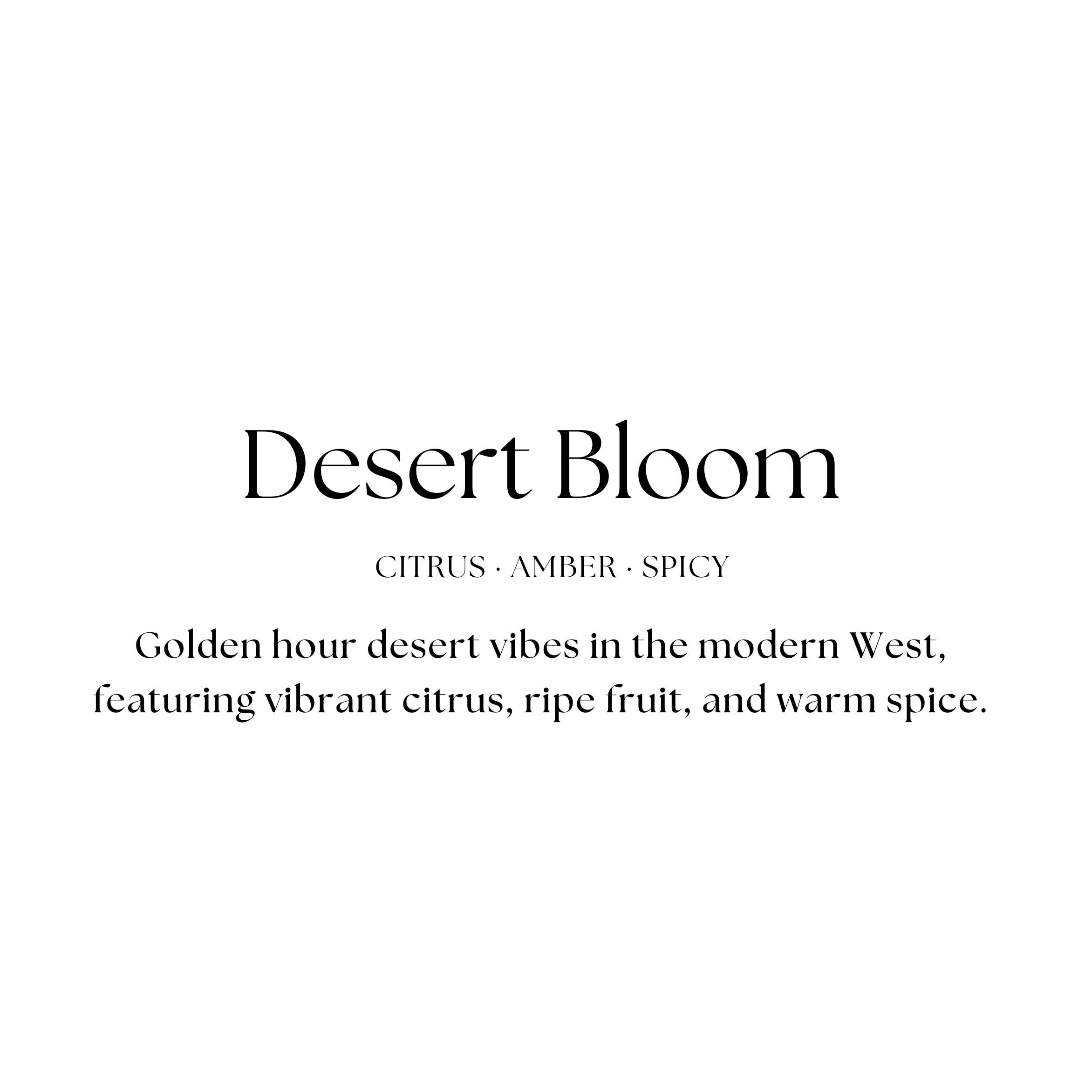 Haus II Home, LLC - Wholesale Jar/Filled Candle - Reusable Terrazzo Candle - Desert Bloom1