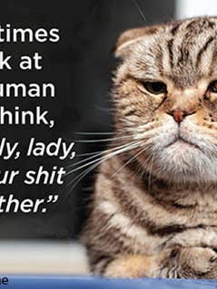 Magneet: Soms kijk ik naar mijn mens voor wholesale door Ephemera