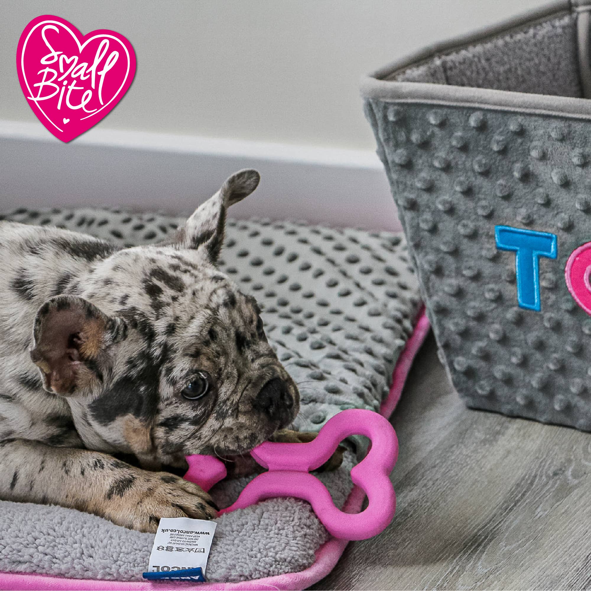 Ancol Pet Products Ltd - Wholesale Pet Chew Toy - Dog - Small Bite Soft Bone2