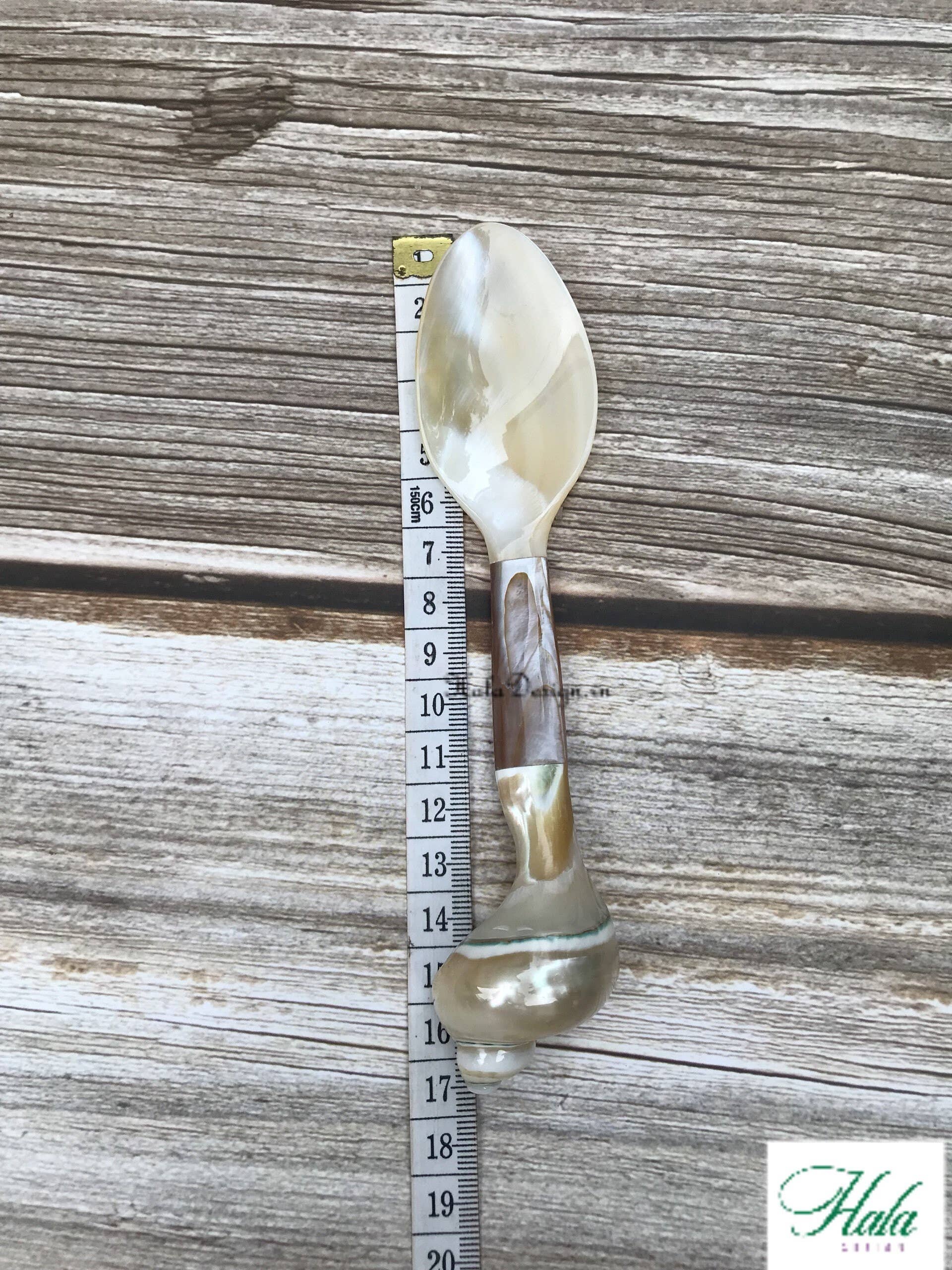 Hala Design - Wholesale Kitchen Spoon - Custom Engraved Oyster and Snail Spoon Length = 16 cm7