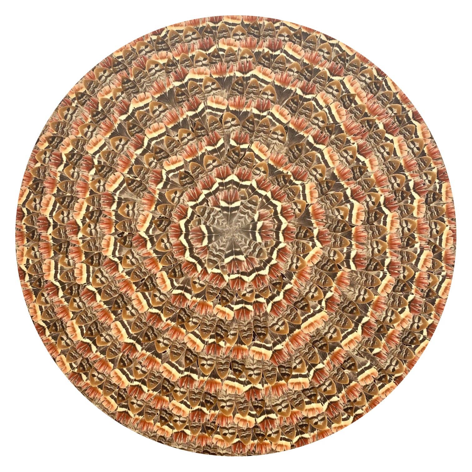 Tisch New York - Wholesale Placemat - Placemat/ Coaster, Feathers (Red Brown Reeves Pheasant)1