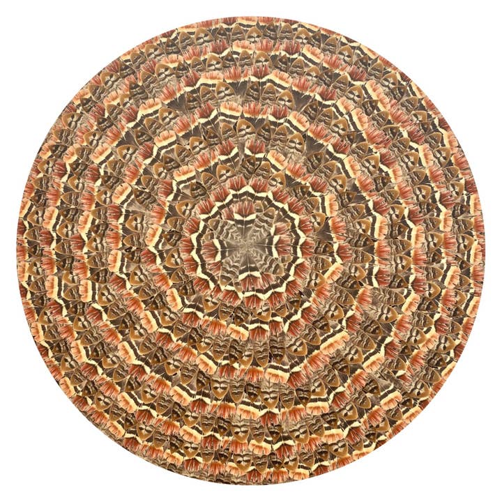 Tisch New York - Wholesale Placemat - Placemat/ Coaster, Feathers (Red Brown Reeves Pheasant)1