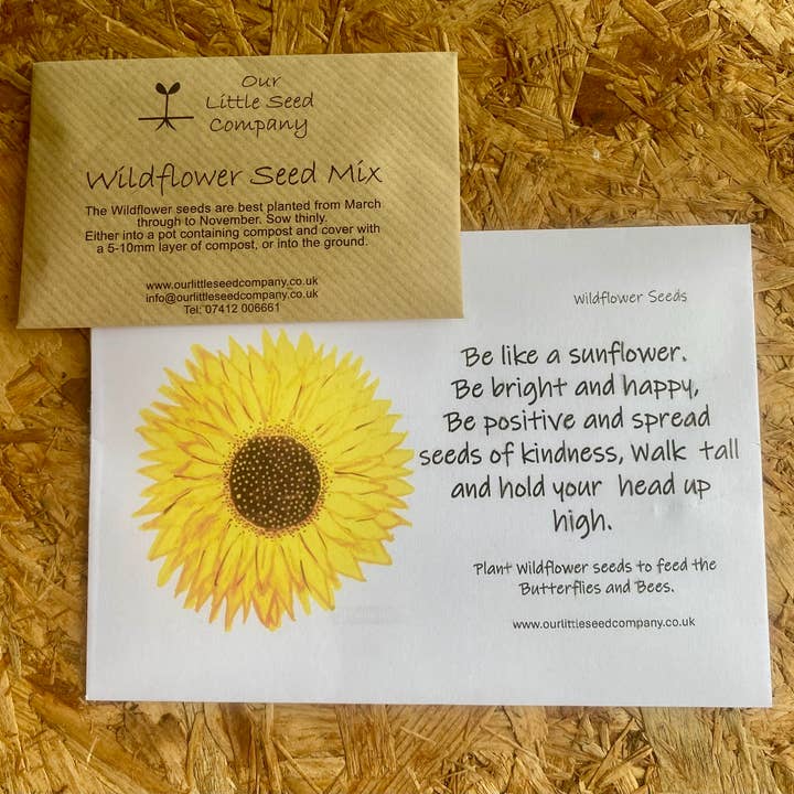 Our Little Seed Company - Wholesale Plant seeds - Wildflower Seed Envelope - Sunflower Friendship (pack of 6)1