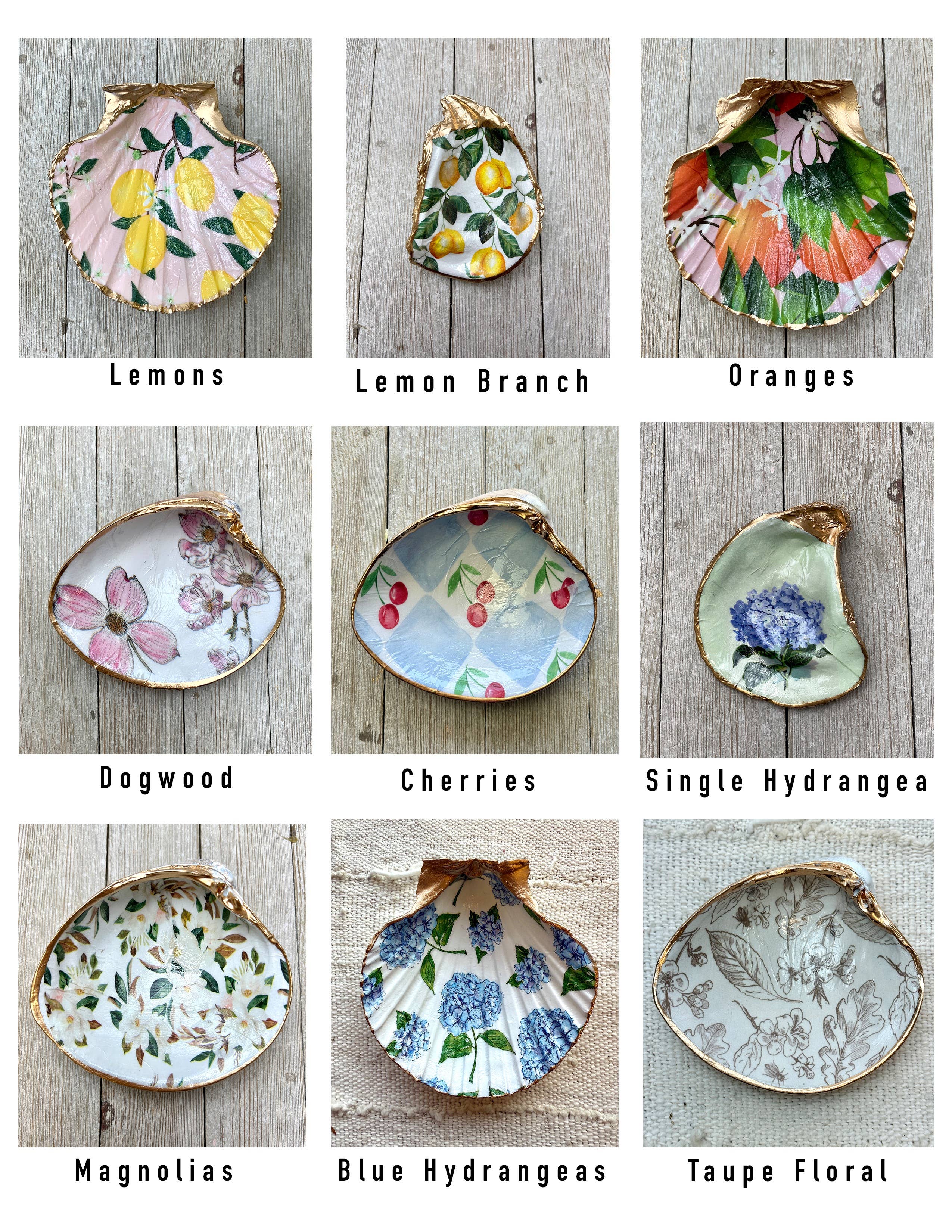 Ten Twenty Six Designs – Prato/tigela decorativa por atacado – Conjunto de Conchas para Decoupage – Vieira, Ostra ou Amêijoa17