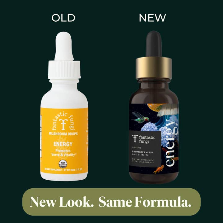 Fantastic Fungi - Wholesale Elixir - Energy Elixir2
