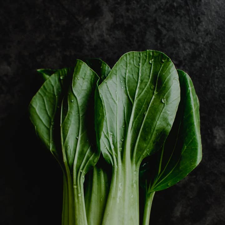 BerlinGreen - Wholesale Plant seeds - Pak Choi1