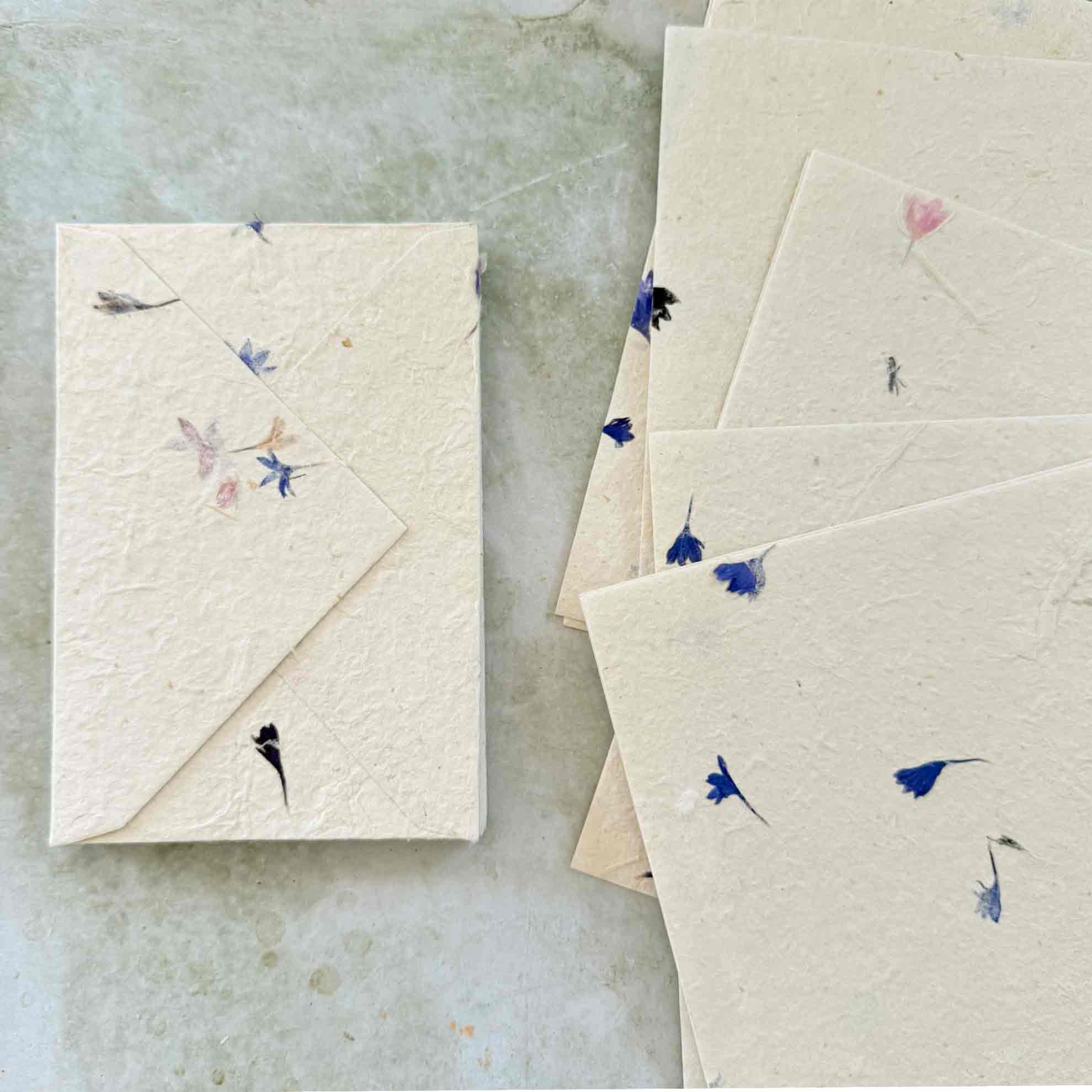 The Natural Paper Company - Vente Assortiments de papeterie/cartes - Papier Lokta fait main au Népal et enveloppes - Bleuet4