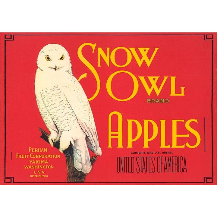 Carte de vœux FR-201 Étiquette de pomme Chouette des neiges pour la vente par Found Image Press
