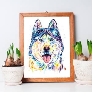 Purchase Wholesale pet store. Free Returns & Net 60 Terms on Purchase Wholesale pet store. Free Returns & Net 60 Terms on
